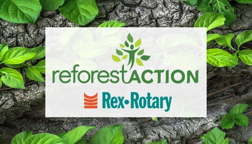 article blog deforestaction