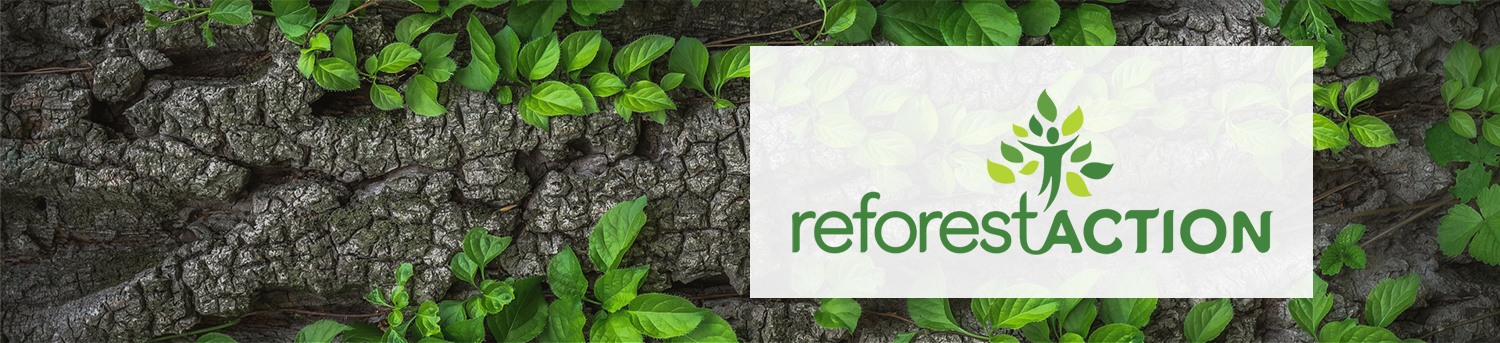 reforestaction