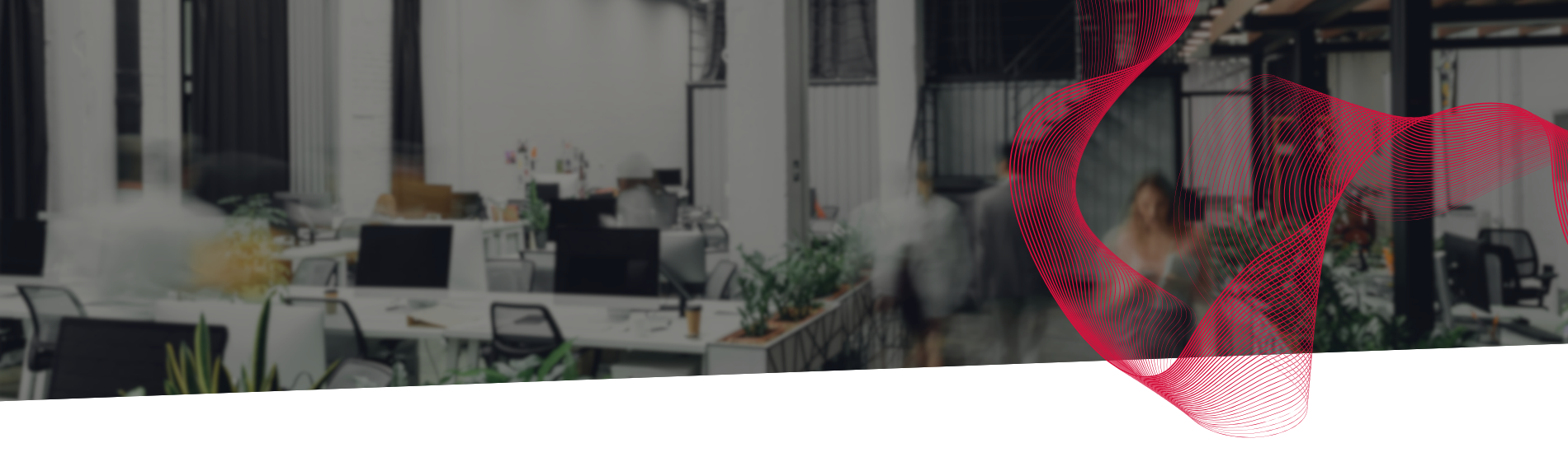 Solutions informatiques pour professionnels